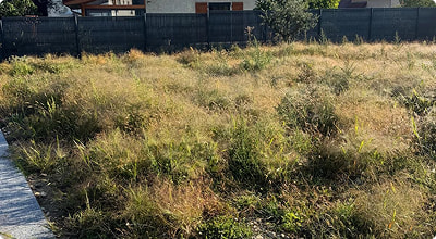 Avant préparation terrain